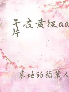 午夜黄级aa大片