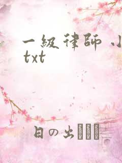 一级律师 小说 txt