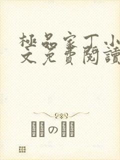 极品家丁小说全文免费阅读在线阅读