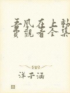 吾凰在上动漫免费观看全集