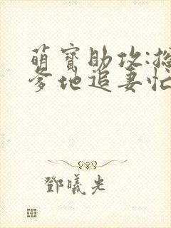 萌宝助攻:总裁爹地追妻忙
