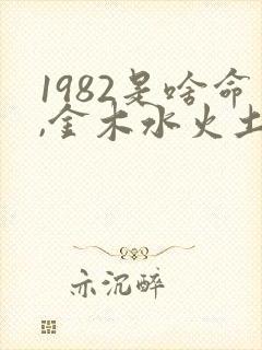 1982是啥命,金木水火土哪个?