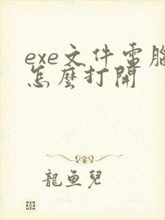 exe文件电脑怎么打开