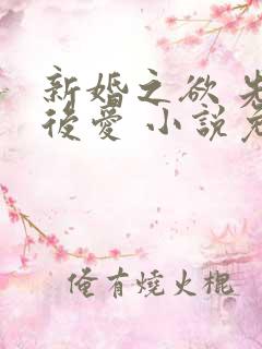 新婚之欲 先婚后爱 小说免费阅读