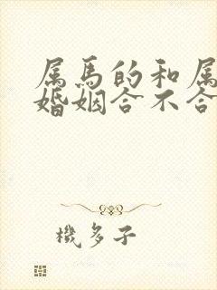 属马的和属马的婚姻合不合