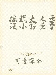 总裁大人要够了没小说免费阅读全文