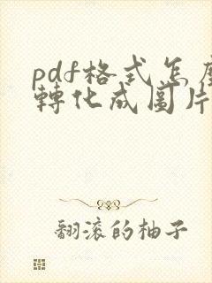 pdf格式怎么转化成图片