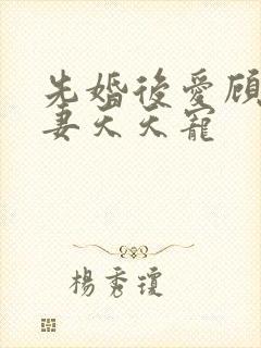 先婚后爱顾少娇妻天天宠
