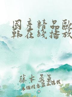 国产精品欧美日韩在线播放