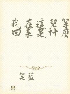 我在这儿等着你回来是什么歌
