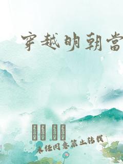穿越明朝当崇祯