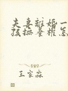 夫妻离婚一个小孩抚养权怎么判