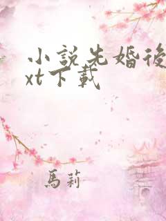 小说先婚后爱txt下载