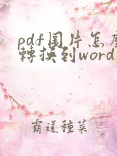pdf图片怎么转换到word文档里