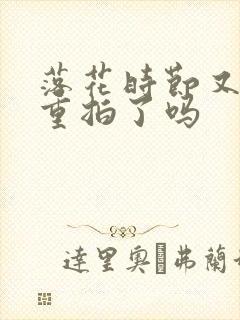 落花时节又逢君重拍了吗