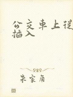 公交车上从后面插入
