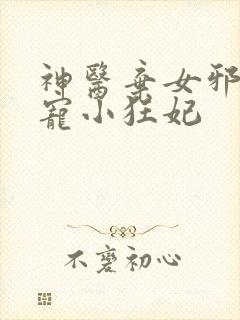 神医弃女邪王嗜宠小狂妃