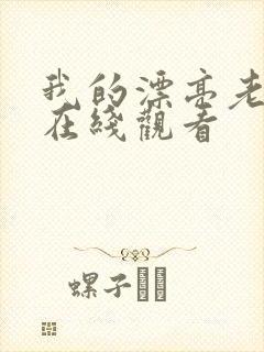 我的漂亮老板娘在线观看