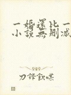 一婚还比一婚高小说无删减版