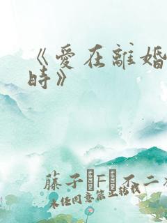 《爱在离婚进行时》