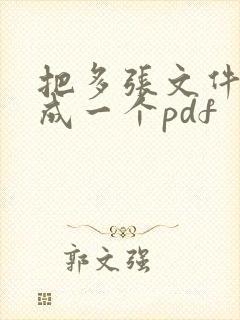 把多张文件扫描成一个pdf