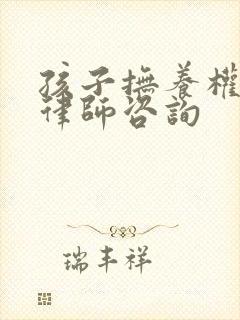 孩子抚养权起诉律师咨询