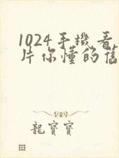 1024手机看片你懂的旧版