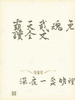 霸天武魂免费阅读全文
