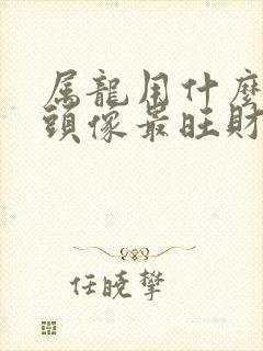 属龙用什么微信头像最旺财