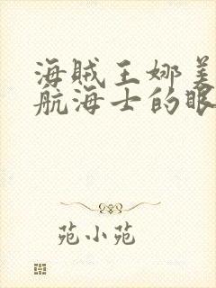 海贼王娜美篇:航海士的眼泪与牵绊 动画片