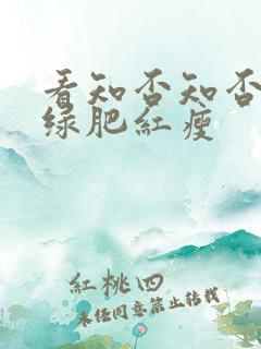 看知否知否应是绿肥红瘦