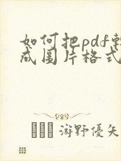 如何把pdf转成图片格式
