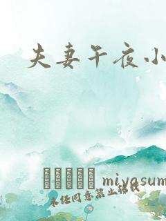 夫妻午夜小视频