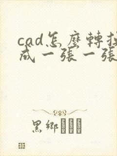 cad怎么转换成一张一张的pdf格式