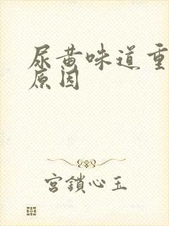 尿黄味道重什么原因