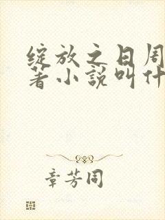 绽放之日周雷原著小说叫什么