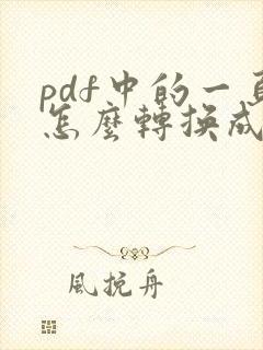 pdf中的一页怎么转换成word