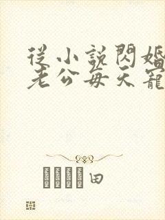 从小说闪婚后,老公每天宠上天小说
