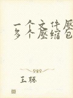 一个文件压缩成多个压缩包