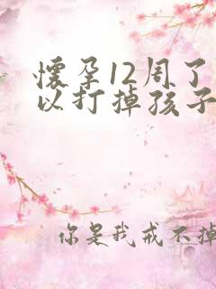 怀孕12周了可以打掉孩子吗