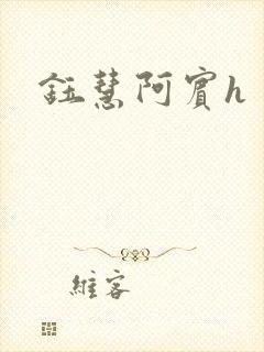 钰慧阿宾h