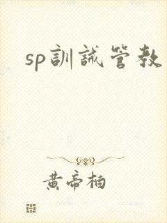 sp训诫管教文