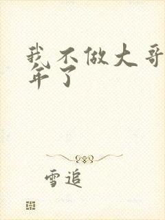 我不做大哥好多年了