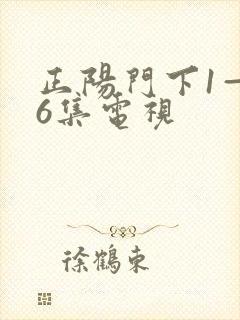 正阳门下1—36集电视