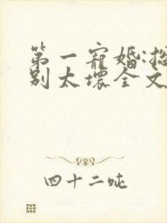 第一宠婚:总裁别太坏全文免费阅读