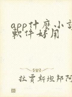 app什么小说软件好用