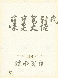 萌宝驾到我的妈咪是大佬