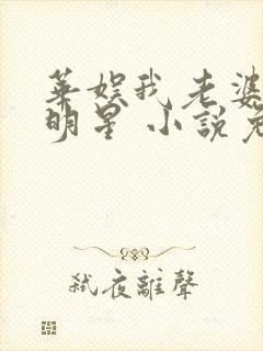 华娱我老婆是大明星 小说免费阅读全集