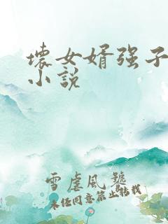 坏女婿强子雯雯小说