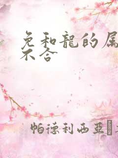 免和龙的属相合不合